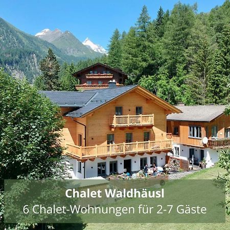 Chalet Waldhaeusl Luxurioese Ferienwohnungen Mit Sauna & Whirlpool, Kamin, Balkon Oder Terrasse Mit Bergblick 海利根布卢特 外观 照片