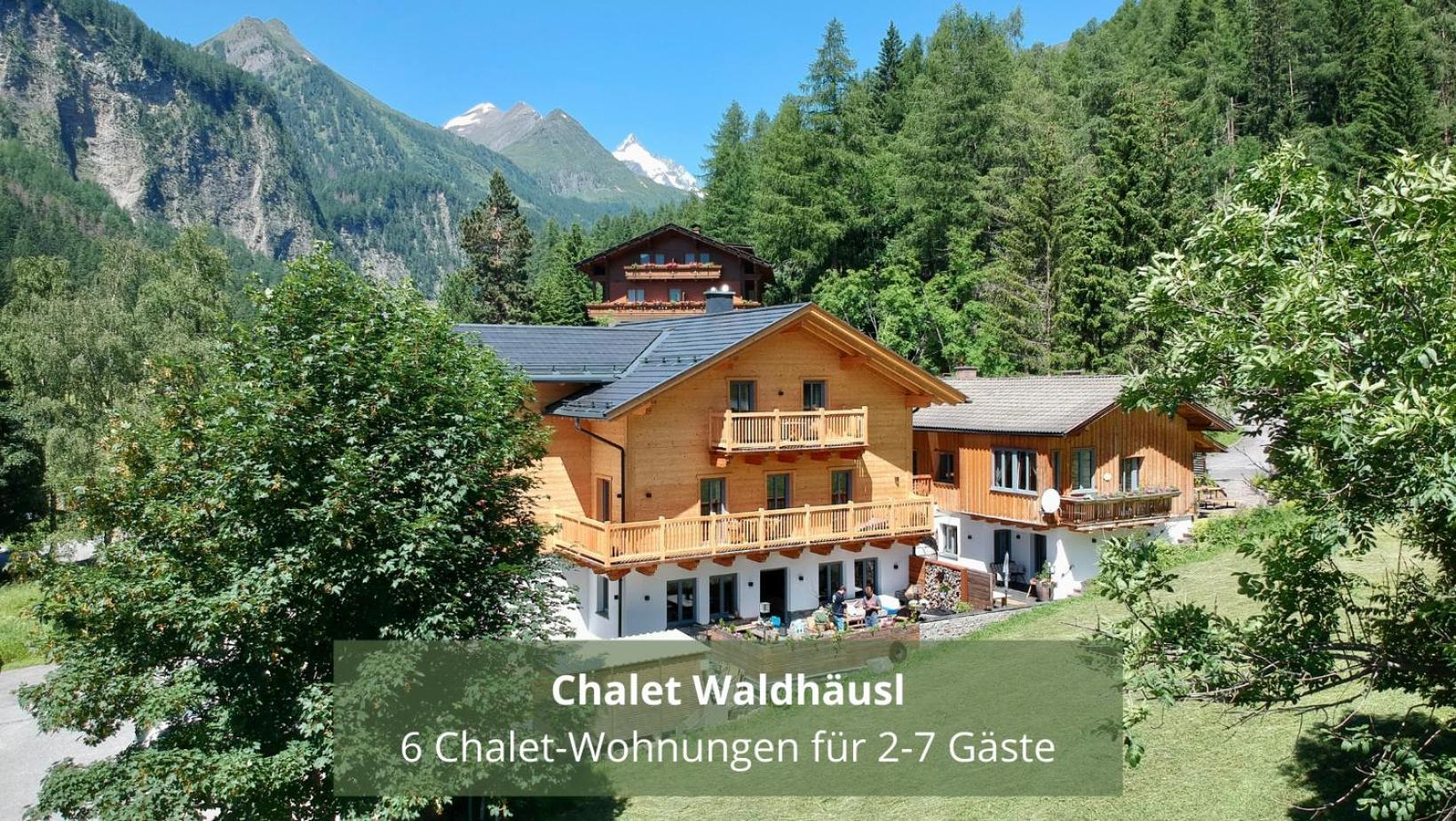 Chalet Waldhaeusl Luxurioese Ferienwohnungen Mit Sauna & Whirlpool, Kamin, Balkon Oder Terrasse Mit Bergblick 海利根布卢特 外观 照片