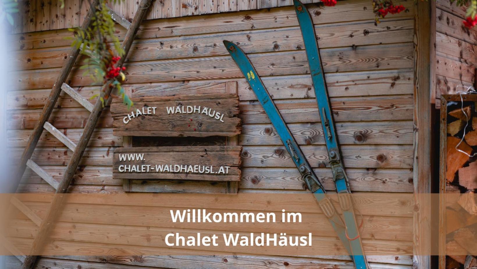Chalet Waldhaeusl Luxurioese Ferienwohnungen Mit Sauna & Whirlpool, Kamin, Balkon Oder Terrasse Mit Bergblick 海利根布卢特 外观 照片