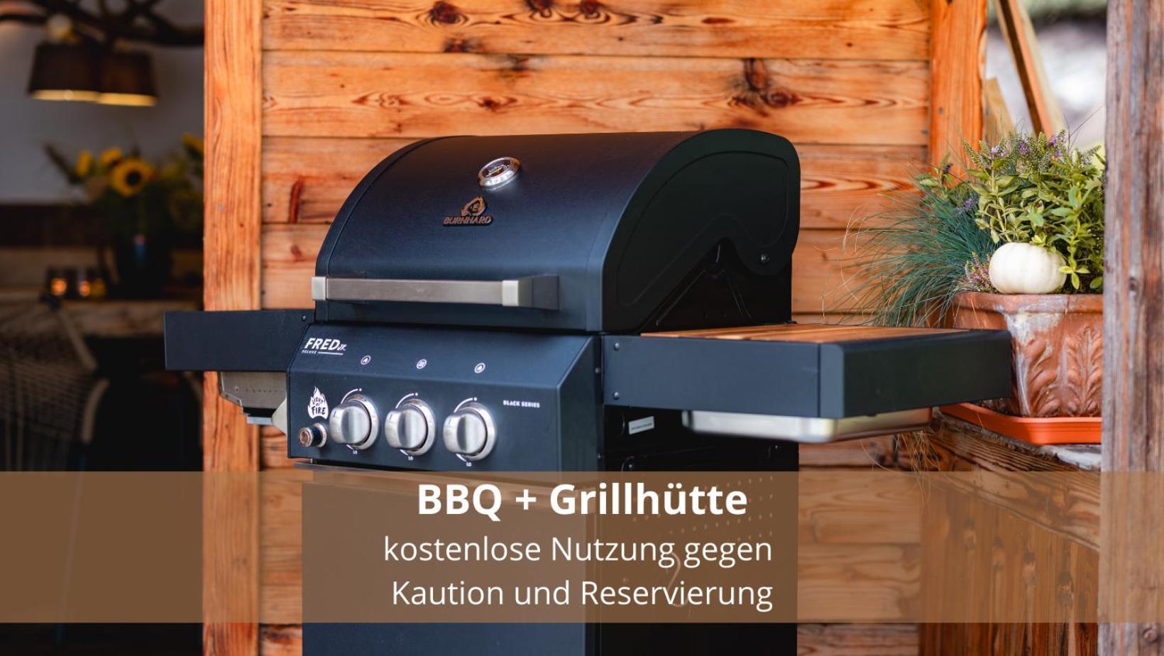 Chalet Waldhaeusl Luxurioese Ferienwohnungen Mit Sauna & Whirlpool, Kamin, Balkon Oder Terrasse Mit Bergblick 海利根布卢特 外观 照片