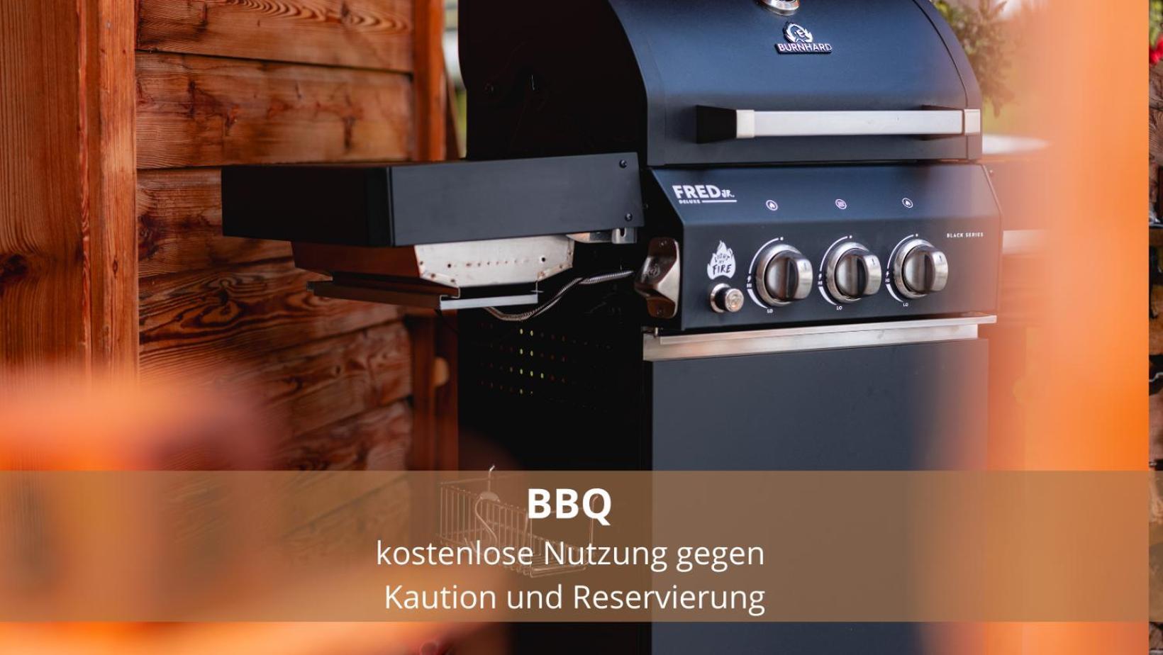 Chalet Waldhaeusl Luxurioese Ferienwohnungen Mit Sauna & Whirlpool, Kamin, Balkon Oder Terrasse Mit Bergblick 海利根布卢特 外观 照片