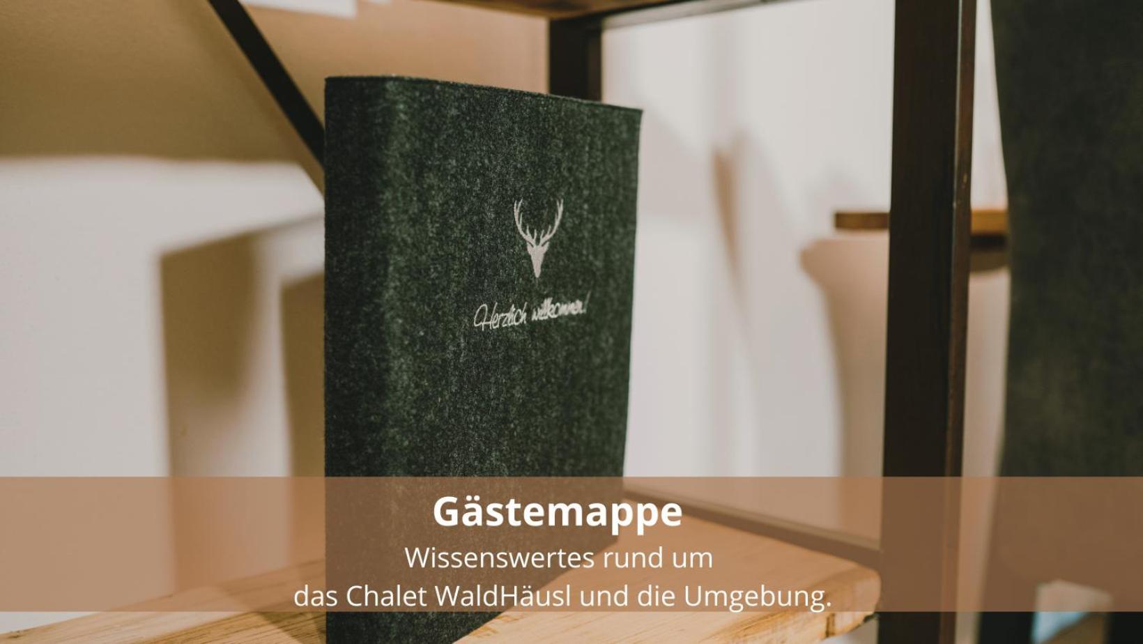 Chalet Waldhaeusl Luxurioese Ferienwohnungen Mit Sauna & Whirlpool, Kamin, Balkon Oder Terrasse Mit Bergblick 海利根布卢特 外观 照片