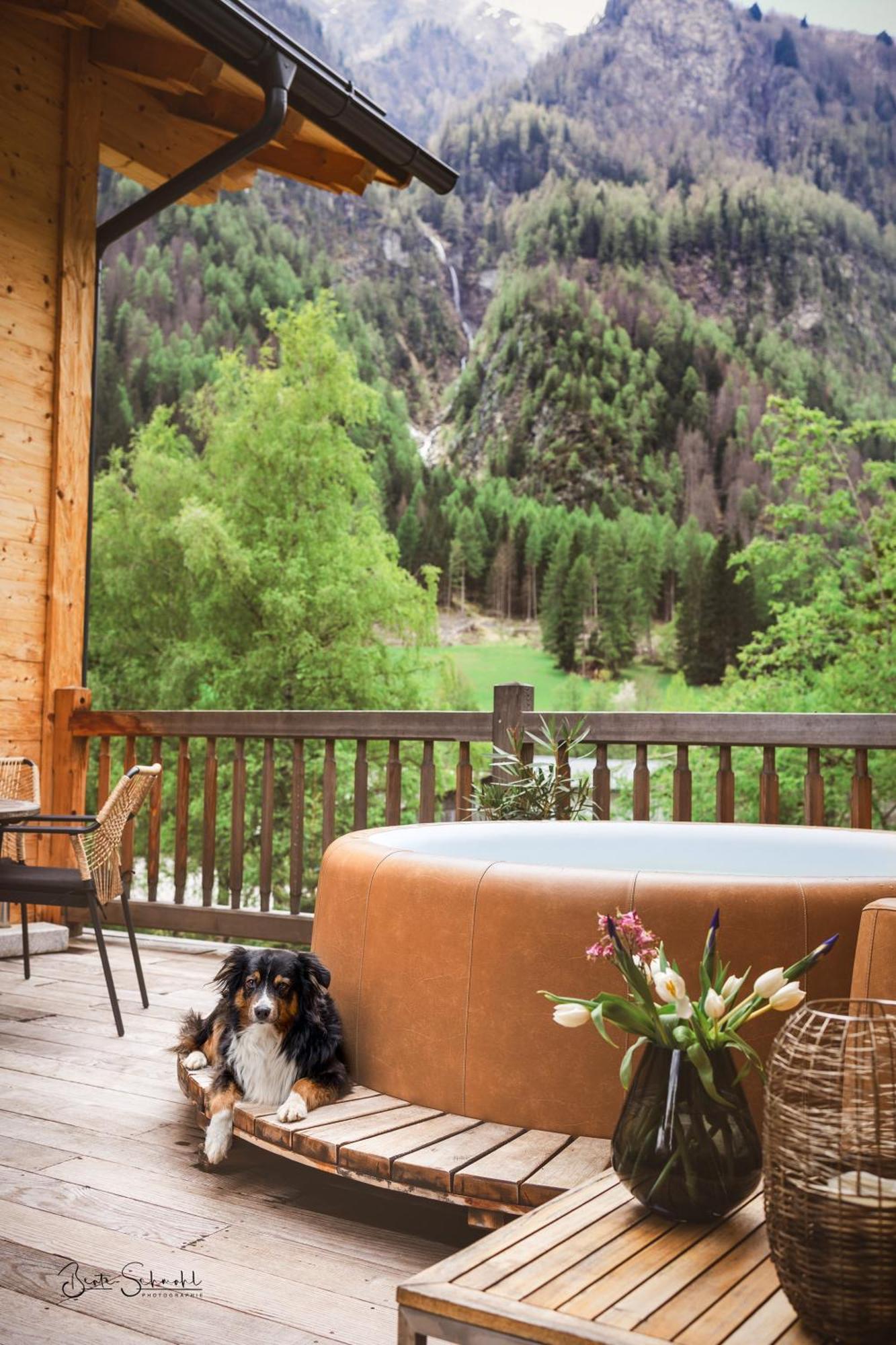 Chalet Waldhaeusl Luxurioese Ferienwohnungen Mit Sauna & Whirlpool, Kamin, Balkon Oder Terrasse Mit Bergblick 海利根布卢特 外观 照片